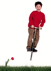 pogo stick