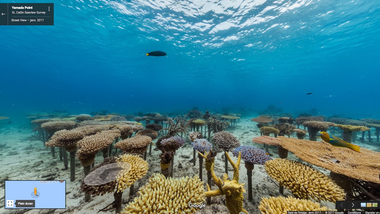 Google Street View en plongée sous-marine